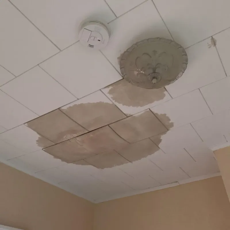 Ceiling Water Damage Repair in Gainesville, FL